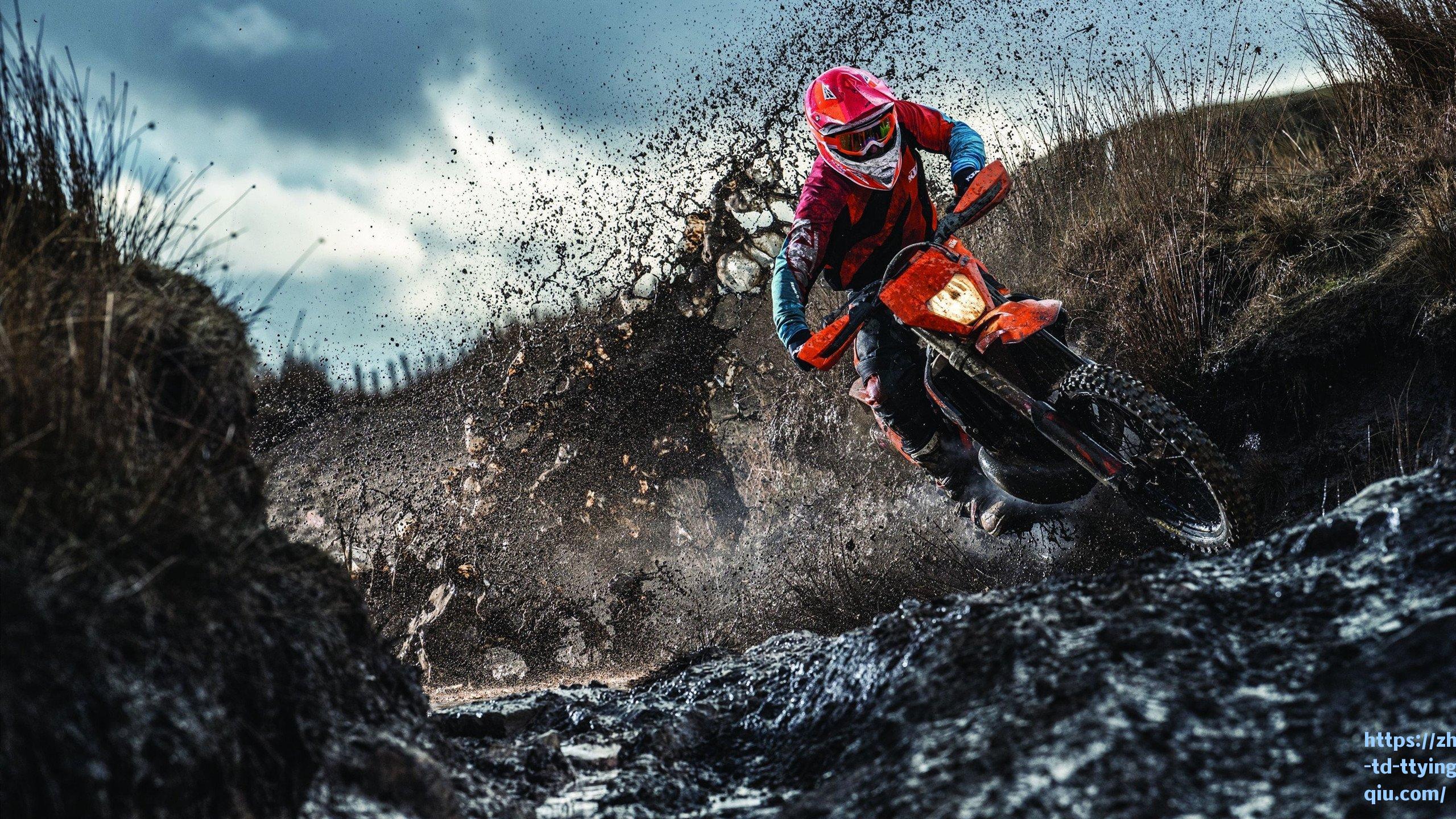 勇士完美开局呼唤总冠军 万事俱备只待克雷归来