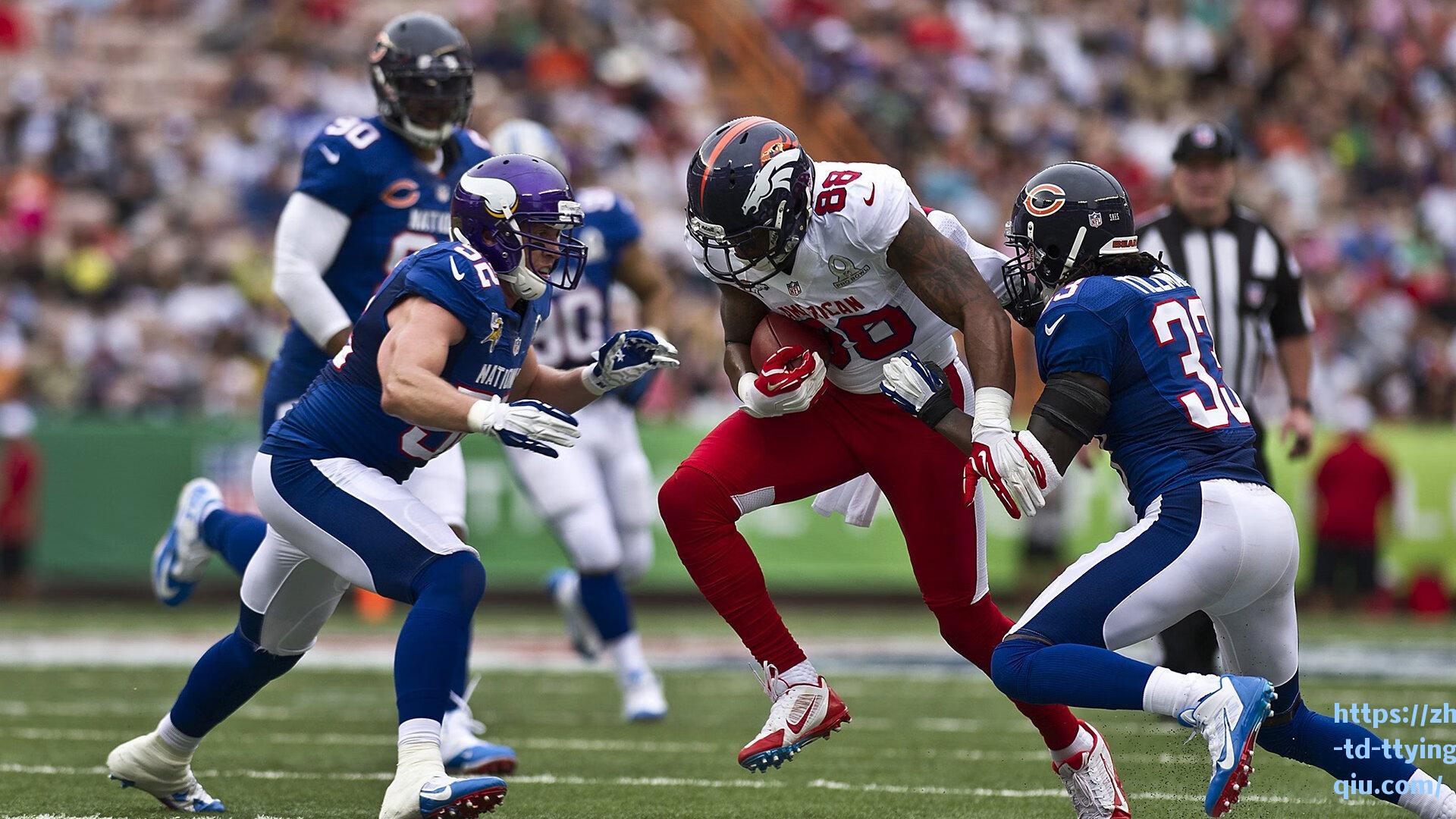 金州勇士的辉煌之路,从平凡到传奇的经营智慧